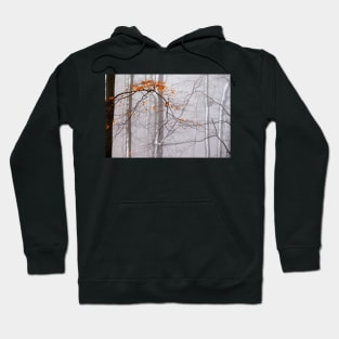 Winter in the woodland Hoodie